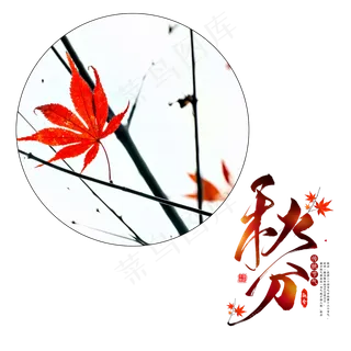 秋分枫树枫叶,免抠元素 秋分枫树枫叶,免抠元素