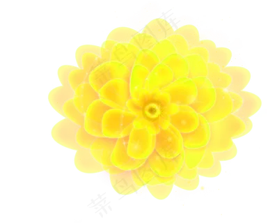 炫酷发光黄色荧光花效果免扣高清