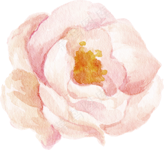 粉色唯美文艺手绘水彩花装饰,免抠元素