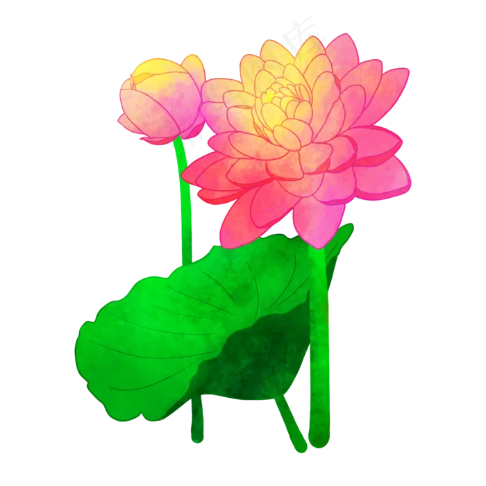 夏季节气荷花荷叶(2000X2000(DPI:300))psd模版下载