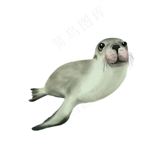 可爱海洋动物抵制皮毛环保,免抠元素