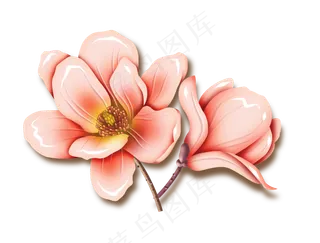 粉红灵动的小花朵