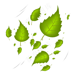 风吹落的漂浮树叶