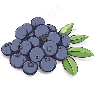 营养丰富的健康水果蓝莓