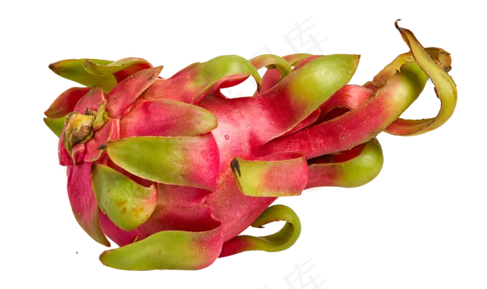 红心火龙果(4501X2676(DPI:300))psd模版下载