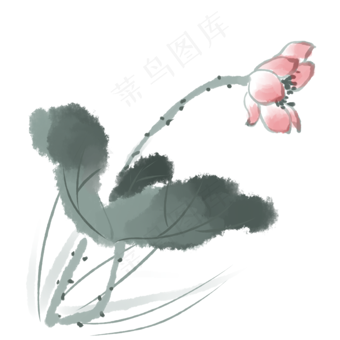 中国风古典水墨风格荷花