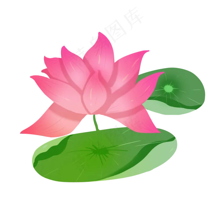 粉色的荷花和荷叶(2100X2100(DPI:300))psd模版下载