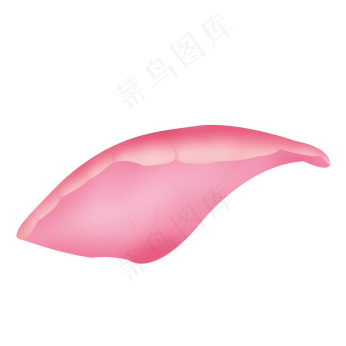 单片的粉紫色玫瑰花瓣