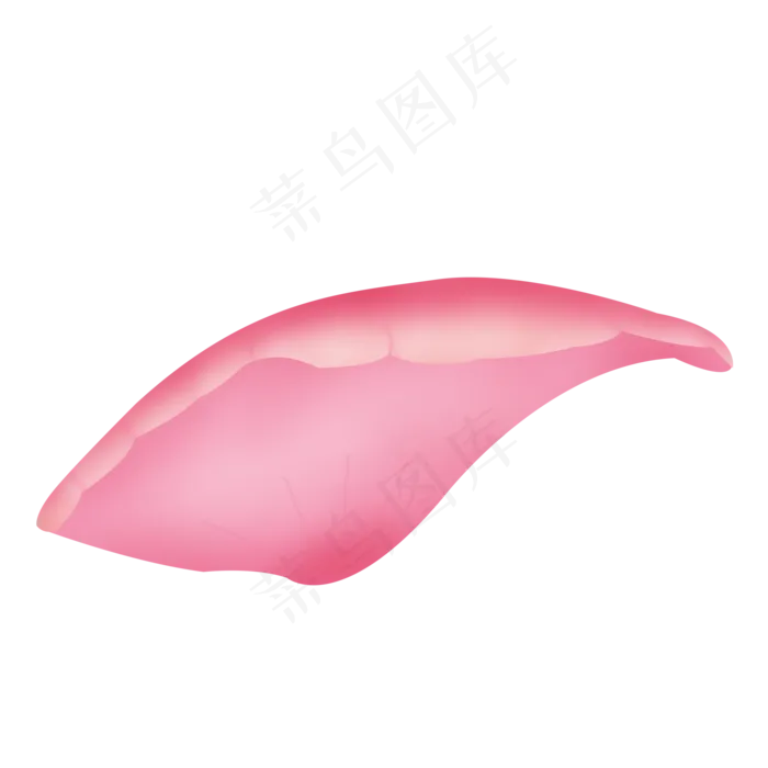 单片的粉紫色玫瑰花瓣(2000X2000(DPI:300))psd模版下载