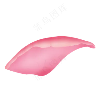 单片的粉紫色玫瑰花瓣