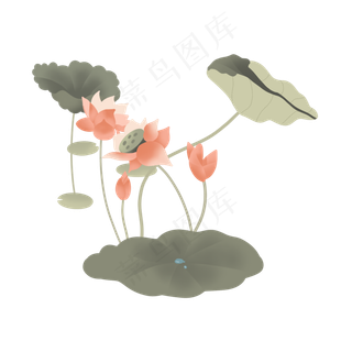 简约荷花荷叶莲花