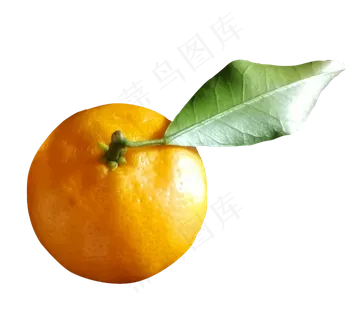 新鲜的橘子纯天然水果