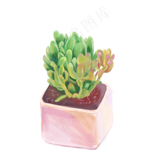 手绘多肉盆栽植物设计元素,免抠元素