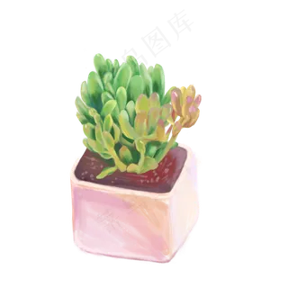 手绘多肉盆栽植物设计元素,免抠元素