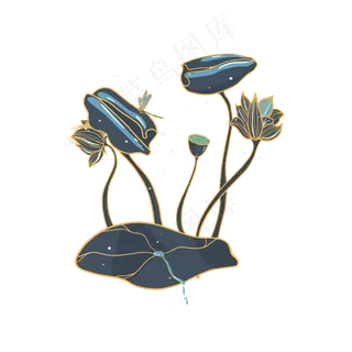 小暑大暑清凉夏天荷叶莲花