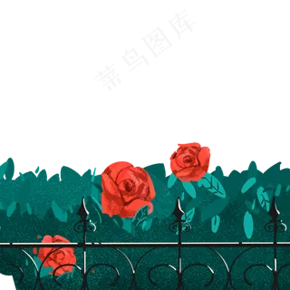 红色玫瑰花朵免抠图