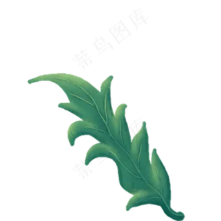 春天绿色植物叶子