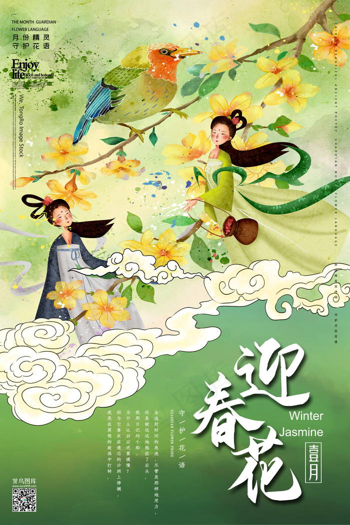 十二月花信之一月迎春花传统中国风花鸟画插画海报