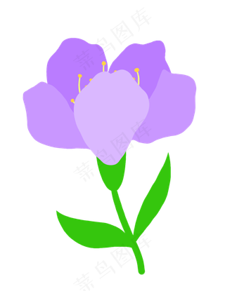 绿色叶子花枝紫色花朵