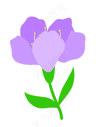 绿色叶子花枝紫色花朵