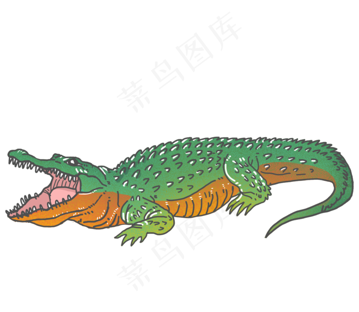 野生动物鳄鱼,免抠元素