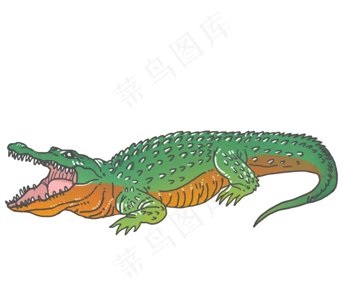 野生动物鳄鱼,免抠元素(2298X2000(DPI:300))psd模版下载