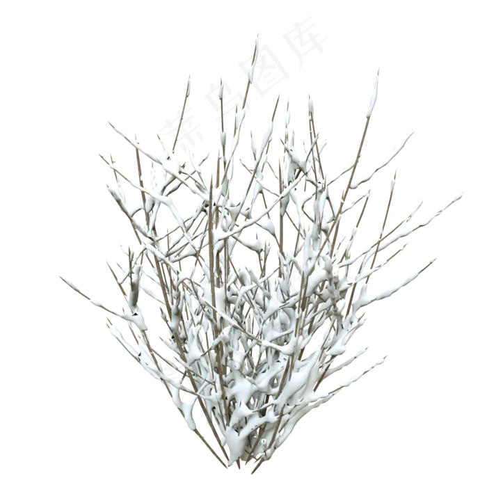 冬天带雪植物,免抠元素(2000X2000(DPI:72))psd模版下载