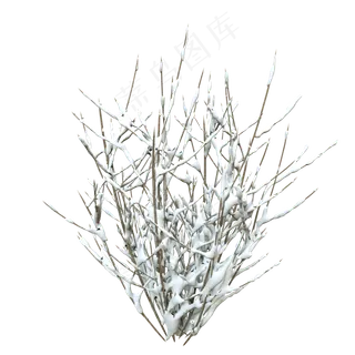 冬天带雪植物,免抠元素