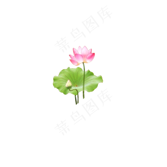 荷花荷叶图案(2000X2000(DPI:300))psd模版下载