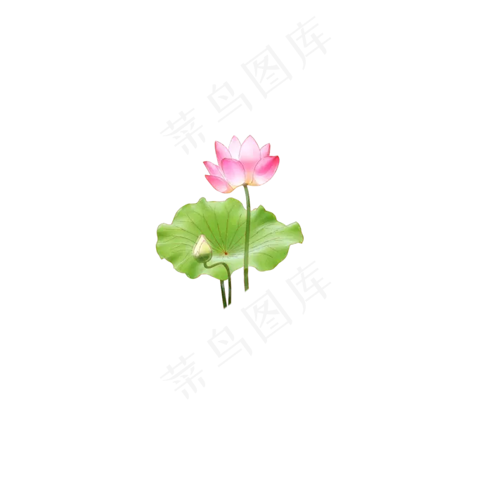 荷花荷叶图案(2000X2000(DPI:300))psd模版下载