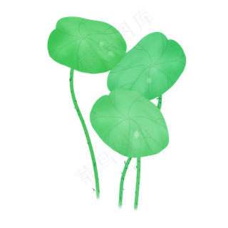 清明节荷花荷叶png素材