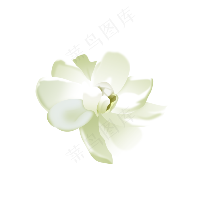 茉莉花1(2000X2000(DPI:300))psd模版下载