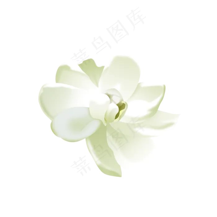 茉莉花1(2000X2000(DPI:300))psd模版下载