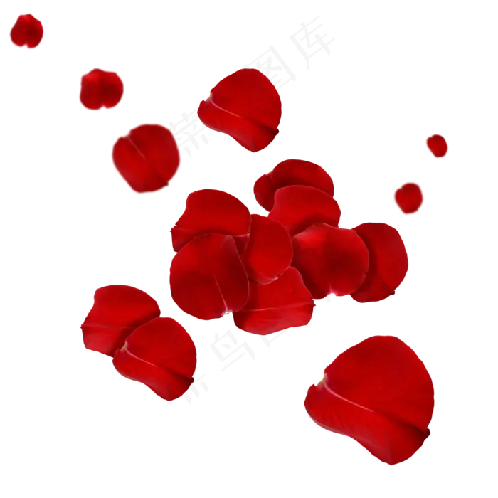 飘落的红色玫瑰花瓣(2000X2000(DPI:300))psd模版下载