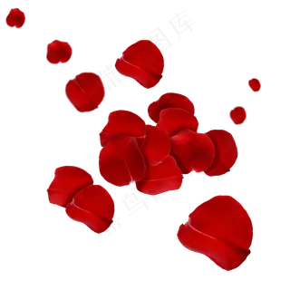 飘落的红色玫瑰花瓣