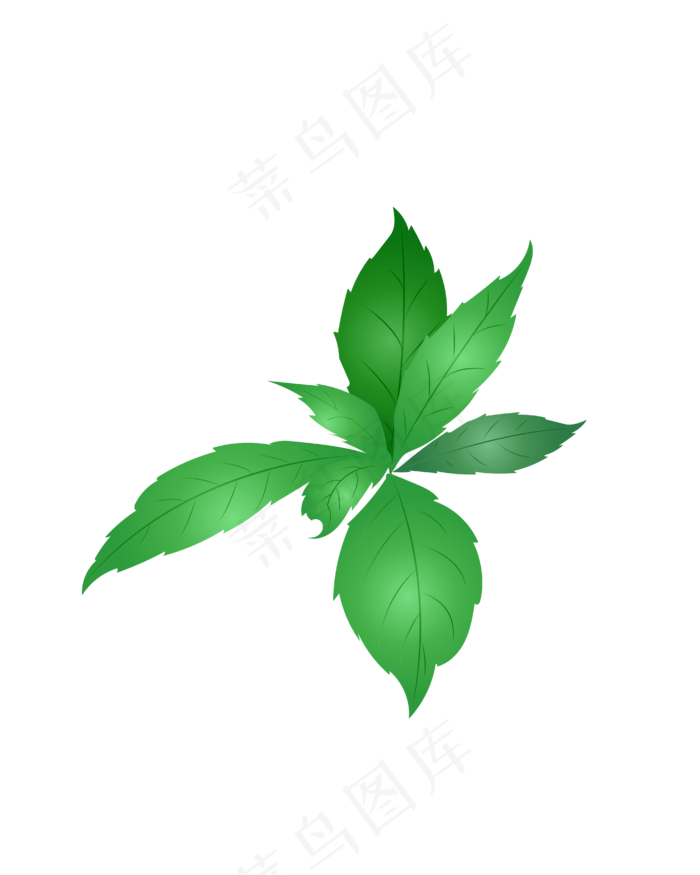 矢量免扣卡通树叶,免抠元素