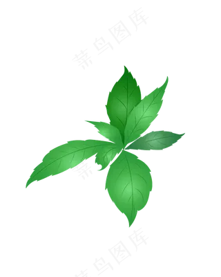 矢量免扣卡通树叶,免抠元素