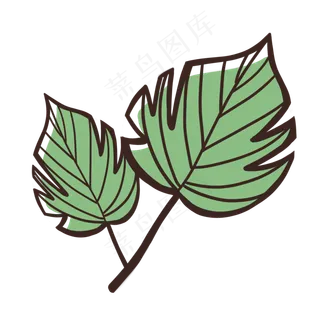 绿色植物叶子 绿色植物叶子