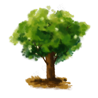 水彩榕树边框装饰画