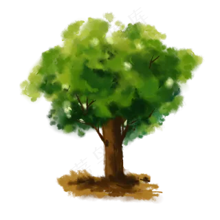 水彩榕树边框装饰画