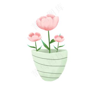 一盆粉色的花朵