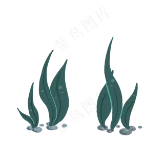 大海海洋生物植物,免抠元素