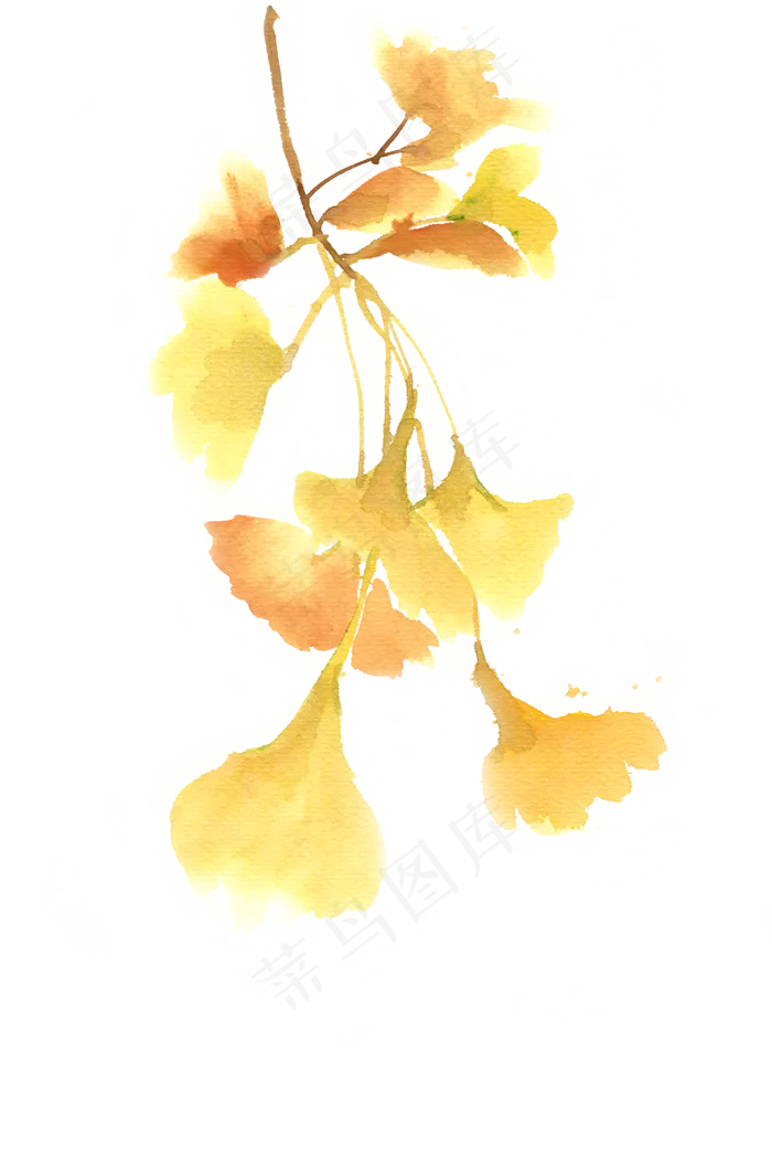 水彩画金黄色的银杏叶(4724X7087(DPI:300))psd模版下载
