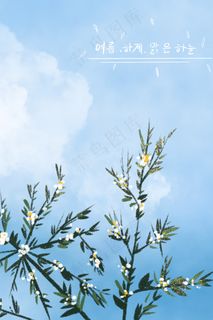 小清新夏天夏季开放的白色花朵