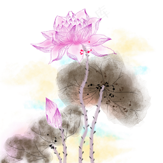 水墨中国风荷花