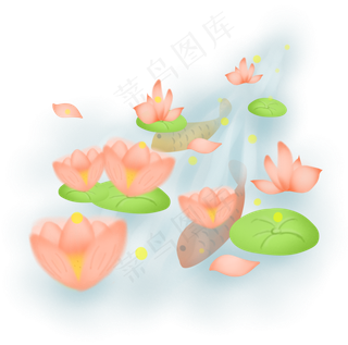 夏季在水中绽放的荷花