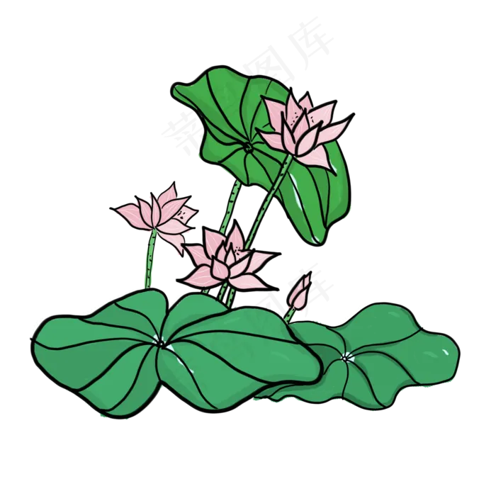 手绘中国风荷花PNG素材(2000X2000(DPI:300))psd模版下载