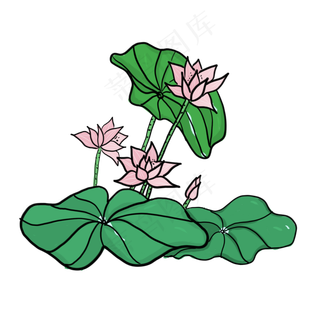 手绘中国风荷花PNG素材