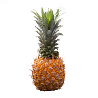 实拍热带水果酸甜菠萝