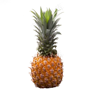 实拍热带水果酸甜菠萝